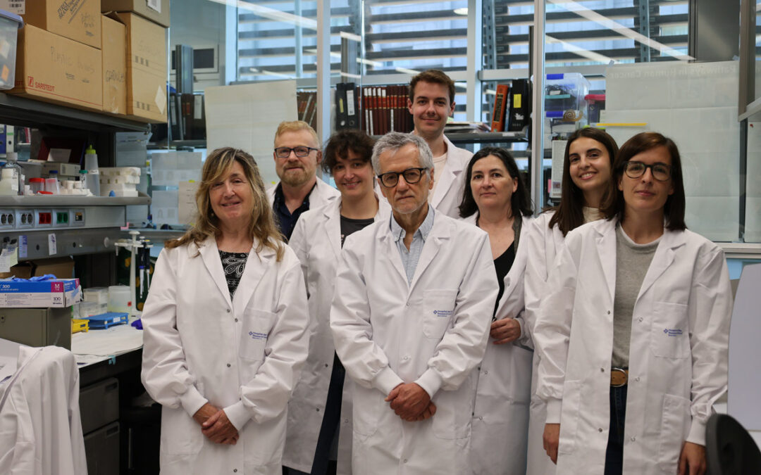 A new treatment strategy targets pancreatic cancer and boosts the immune system