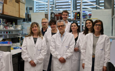 Una nueva estrategia terapéutica ataca el cáncer de páncreas y activa el sistema inmunitario