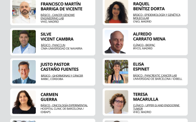 Candidaturas presentadas para la renovación del Comité de Gestión de ALIPANC