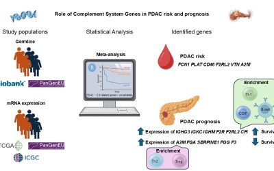 Un grupo de ALIPANC revela el papel de los genes del sistema del complemento en la susceptibilidad y el pronóstico del cáncer de páncreas