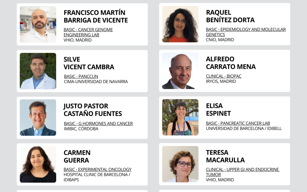 Nominations submitted for the renewal of the ALIPANC Management Committee